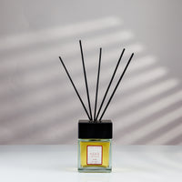 Diffusore di Fragranza per ambienti - Linea DUEMILA12